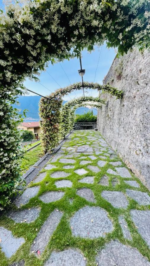 Lake View, Swimming Pool, Tennis Court And Private Parking Mezzegra Dış mekan fotoğraf