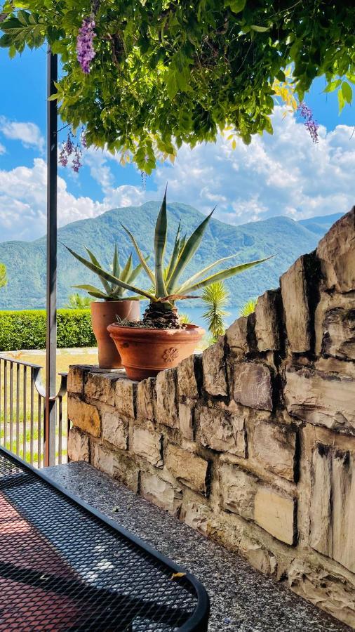 Lake View, Swimming Pool, Tennis Court And Private Parking Mezzegra Dış mekan fotoğraf
